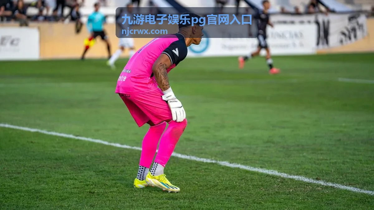 九游电子娱乐pg官网入口电子游艺入门专题封面