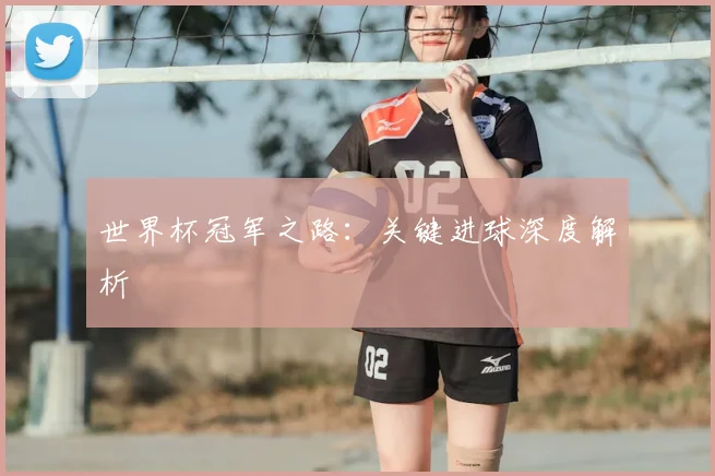 世界杯冠军之路:关键进球深度解析