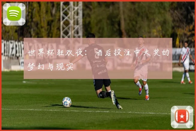世界杯狂欢夜:酒后投注中大奖的梦幻与现实