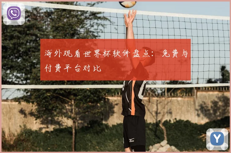 海外观看世界杯软件盘点:免费与付费平台对比
