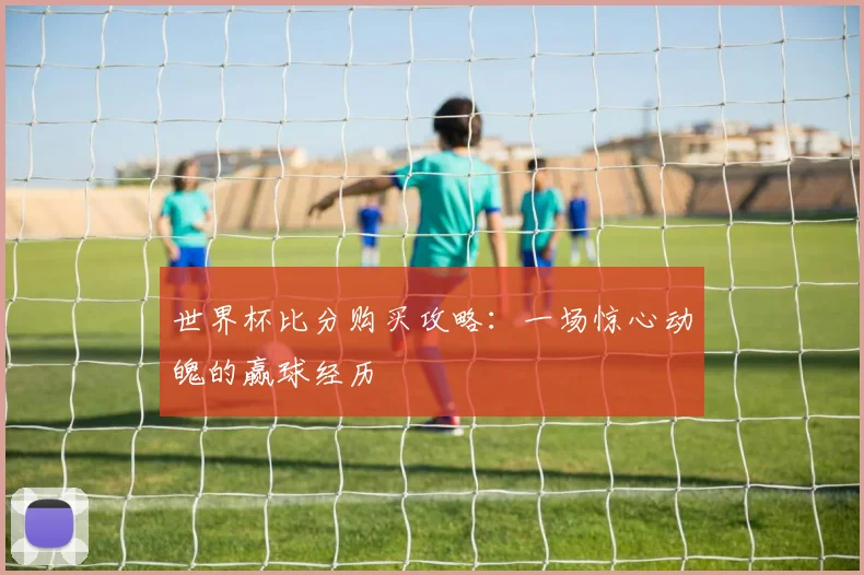 世界杯比分购买攻略：一场惊心动魄的赢球经历