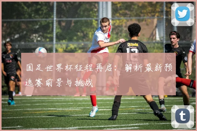 国足世界杯征程再启：解析最新预选赛前景与挑战