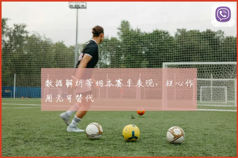 数据解析蒂姆本赛季表现，核心作用无可替代