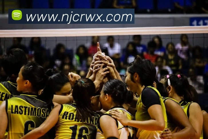 欧宝官方首页官网平台生态图